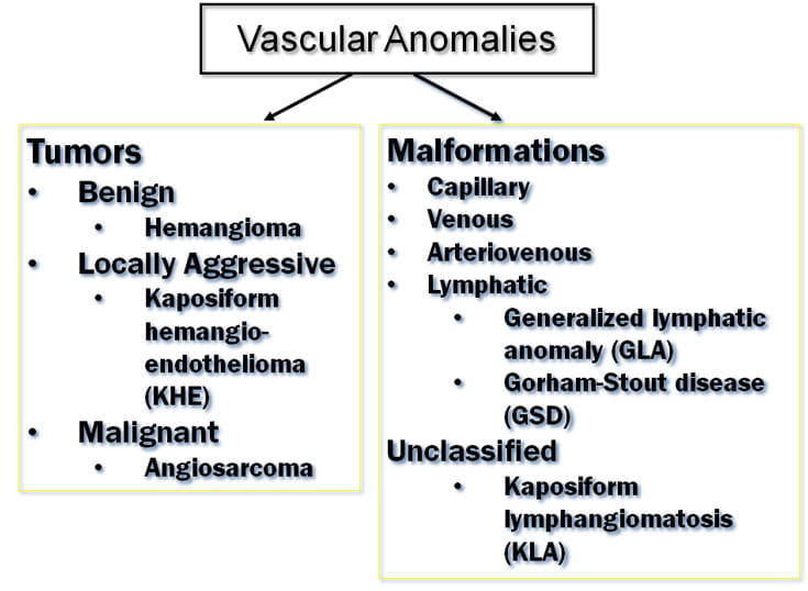 vascular anomalies chart